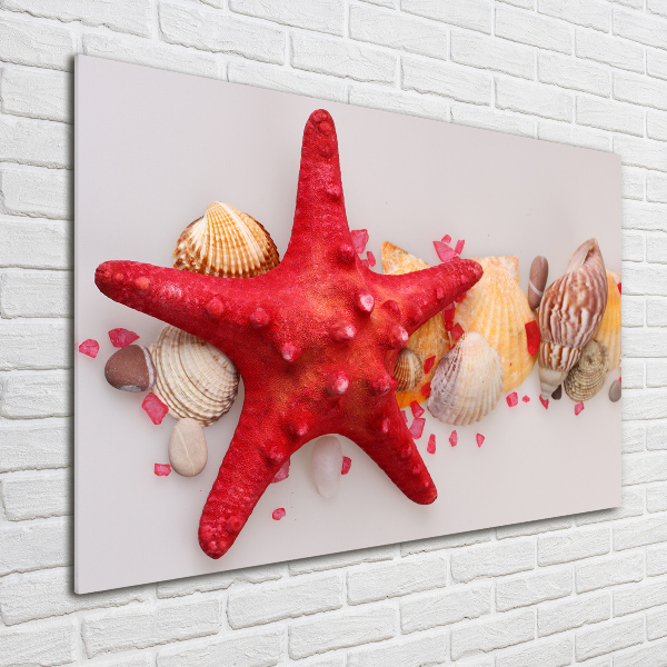 Quadro vetro Stelle marine e conchiglie