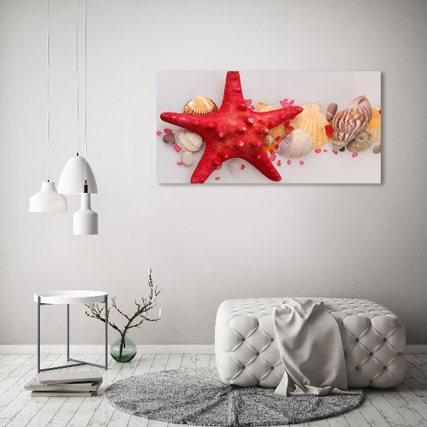 Quadro vetro Stelle marine e conchiglie