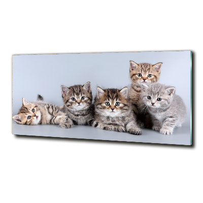 Quadro in verde Cinque gatti