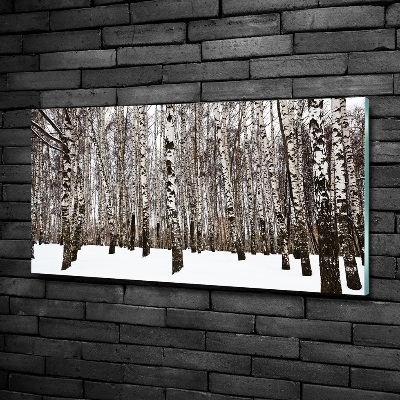 Quadro in vetro Betulle in inverno