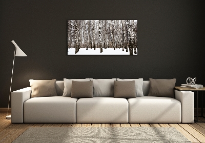 Quadro in vetro Betulle in inverno