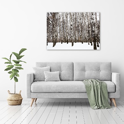 Quadro in vetro Betulle in inverno