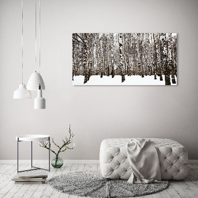 Quadro in vetro Betulle in inverno
