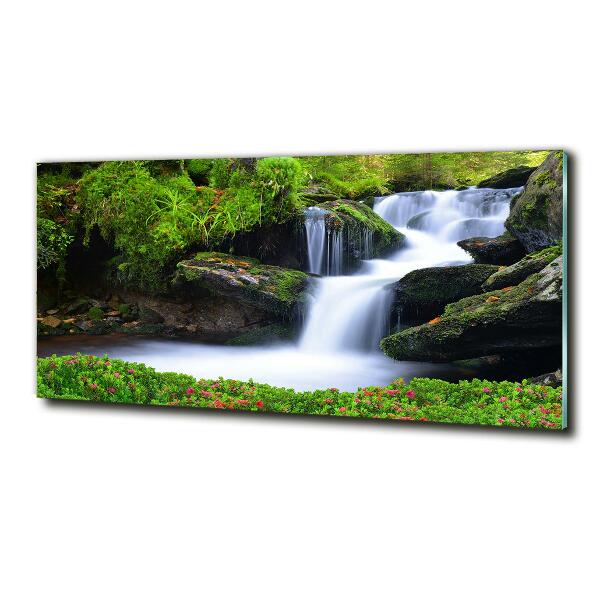 Quadro vetro Cascata nella foresta