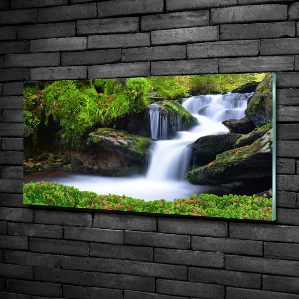Quadro vetro Cascata nella foresta
