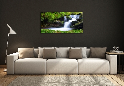 Quadro vetro Cascata nella foresta