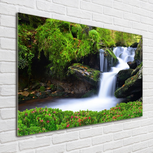 Quadro vetro Cascata nella foresta