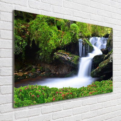 Quadro vetro Cascata nella foresta