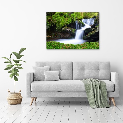 Quadro vetro Cascata nella foresta