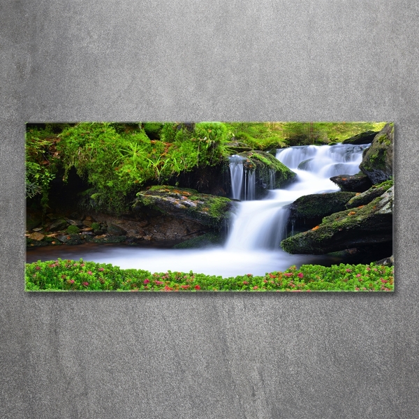 Quadro vetro Cascata nella foresta
