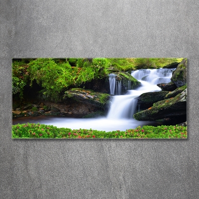 Quadro vetro Cascata nella foresta