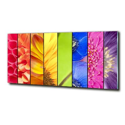 Quadro su vetro Fiori colorati