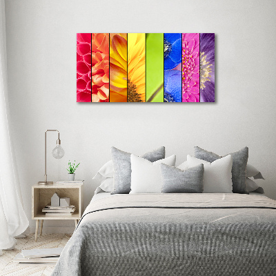 Quadro su vetro Fiori colorati