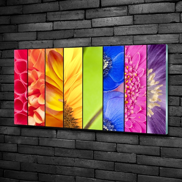 Quadro su vetro Fiori colorati