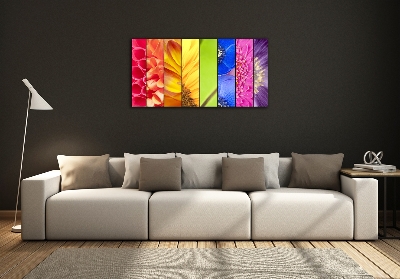 Quadro su vetro Fiori colorati