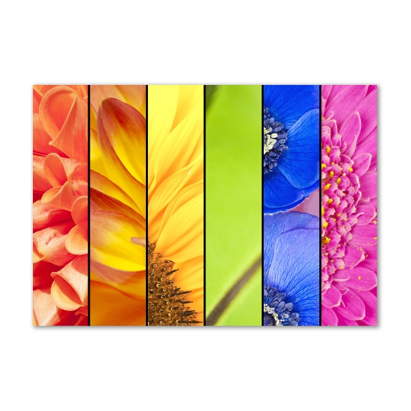 Quadro su vetro Fiori colorati