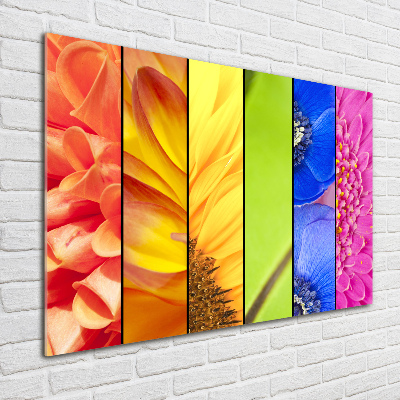 Quadro su vetro Fiori colorati