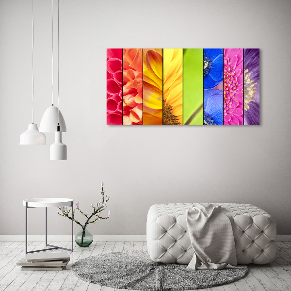Quadro su vetro Fiori colorati