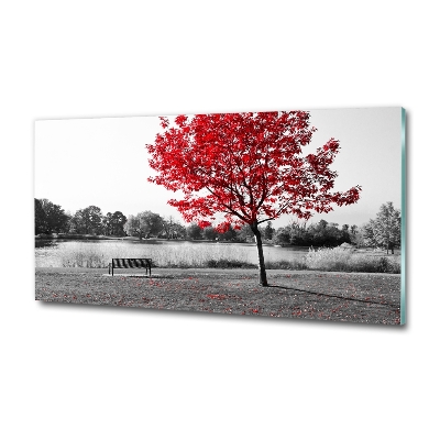 Quadro vetro Albero rosso