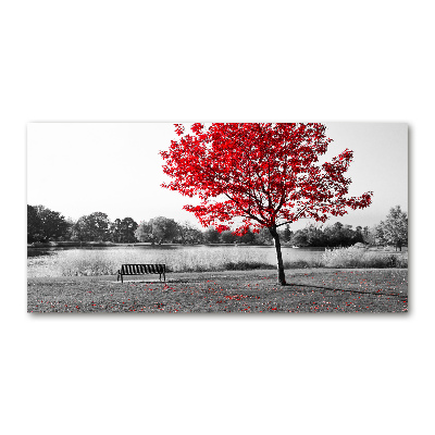 Quadro vetro Albero rosso