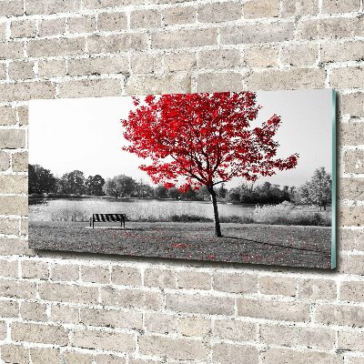 Quadro vetro Albero rosso