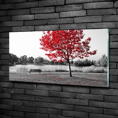 Quadro vetro Albero rosso