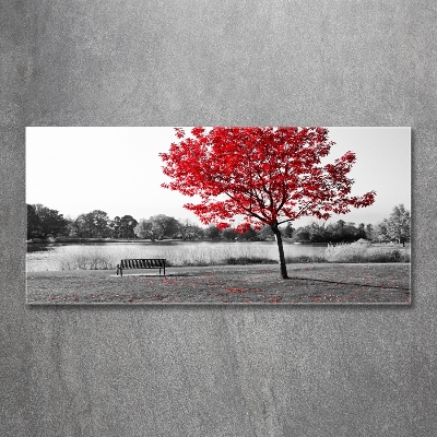 Quadro vetro Albero rosso