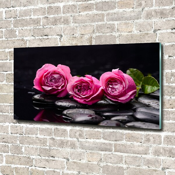 Quadro vetro Rose rosa