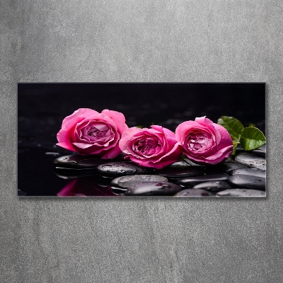 Quadro vetro Rose rosa