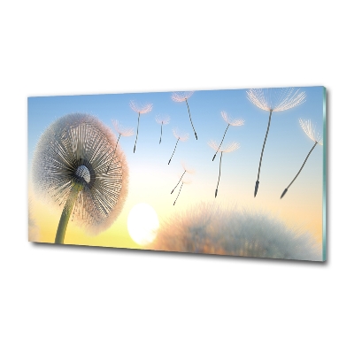 Quadro vetro Dente di leone