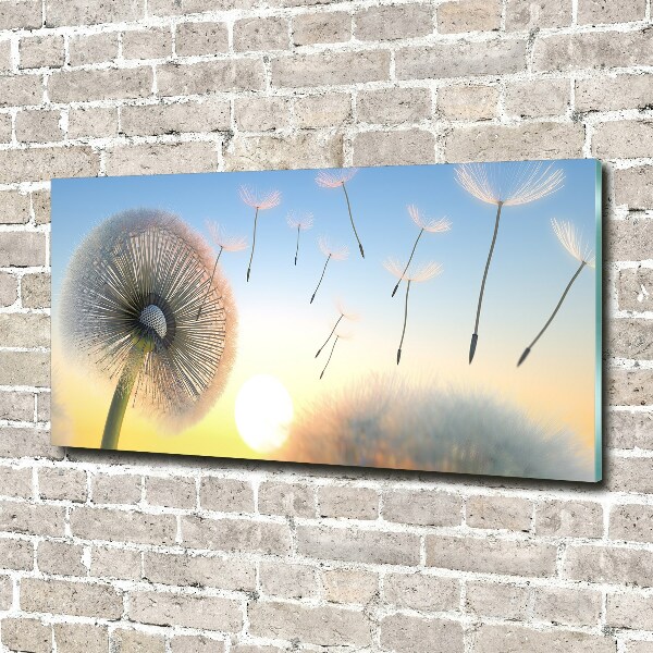 Quadro vetro Dente di leone