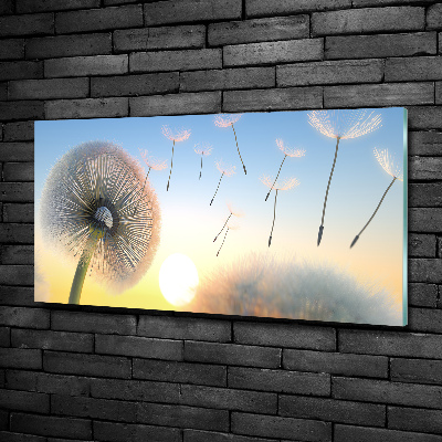 Quadro vetro Dente di leone