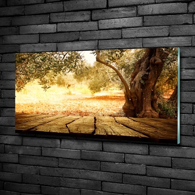 Quadro su vetro Olivo