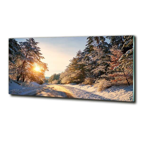 Quadro su vetro Una strada nella foresta in inverno