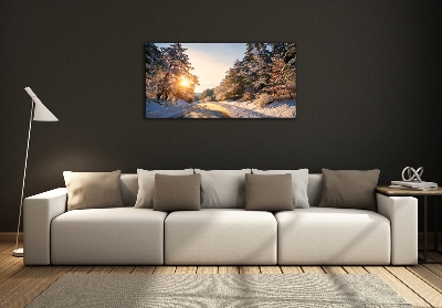 Quadro su vetro Una strada nella foresta in inverno