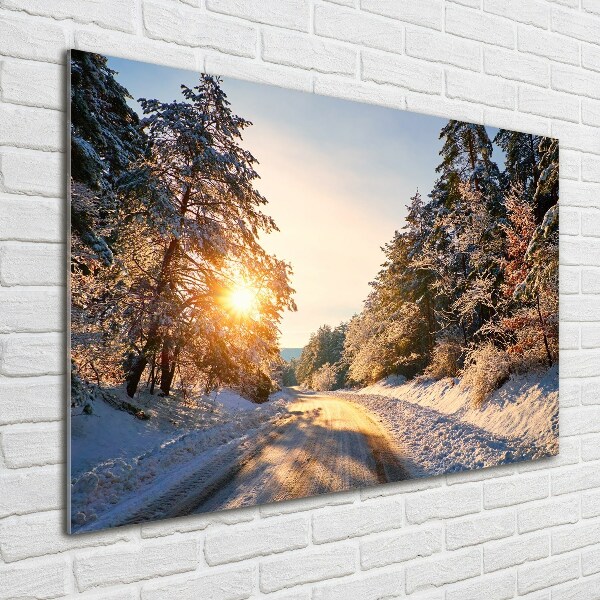 Quadro su vetro Una strada nella foresta in inverno
