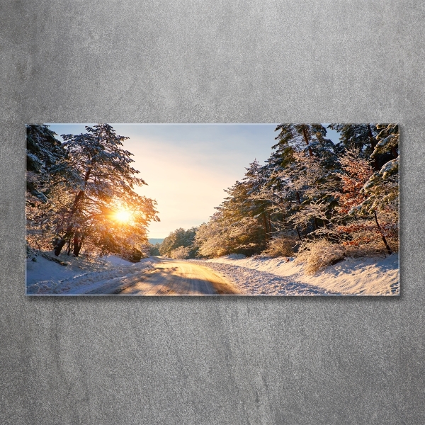 Quadro su vetro Una strada nella foresta in inverno