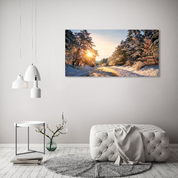 Quadro su vetro Una strada nella foresta in inverno