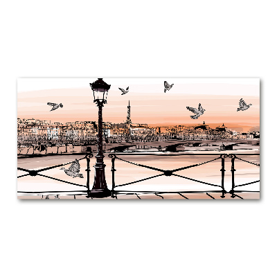 Quadro su vetro Crepuscolo a Parigi