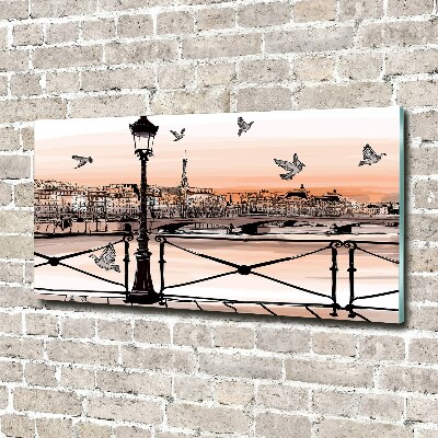 Quadro su vetro Crepuscolo a Parigi