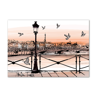 Quadro su vetro Crepuscolo a Parigi