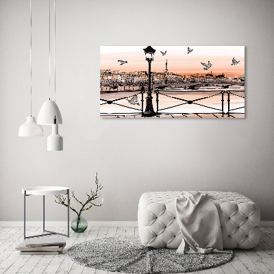 Quadro su vetro Crepuscolo a Parigi