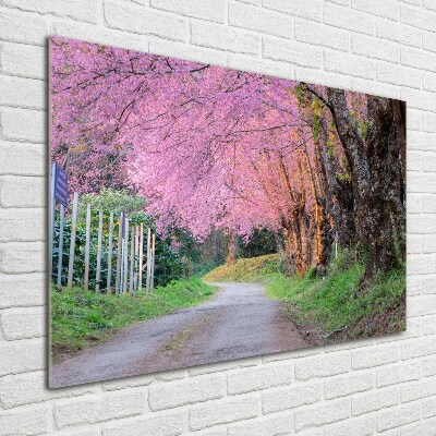Quadro in vetro Fiori di ciliegio