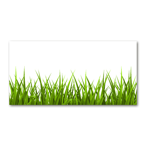 Quadro su vetro Erba