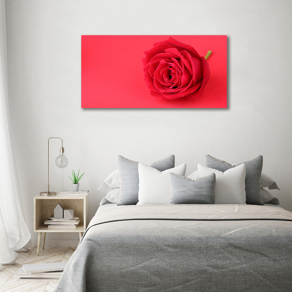 Quadro vetro Rosa rossa