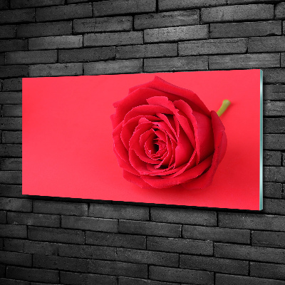Quadro vetro Rosa rossa