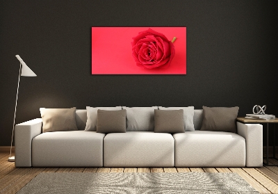 Quadro vetro Rosa rossa