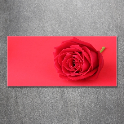 Quadro vetro Rosa rossa