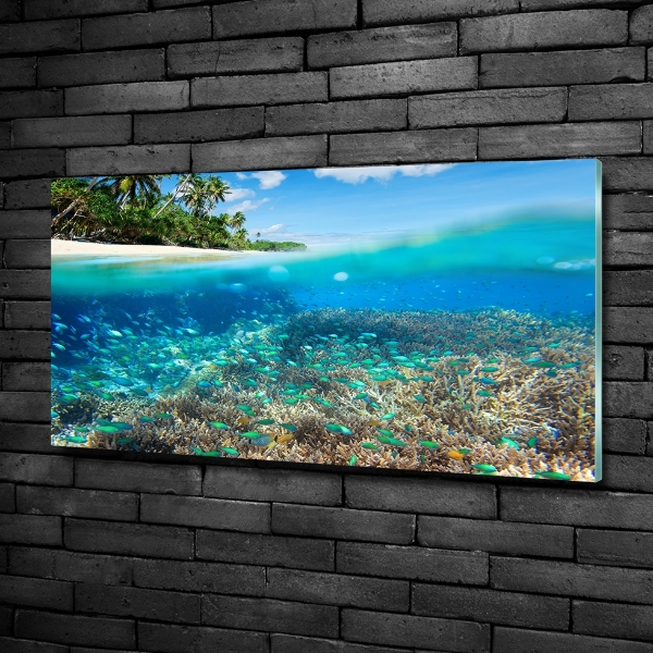 Quadro in verde Barriera corallina