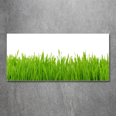 Quadro in vetro Erba